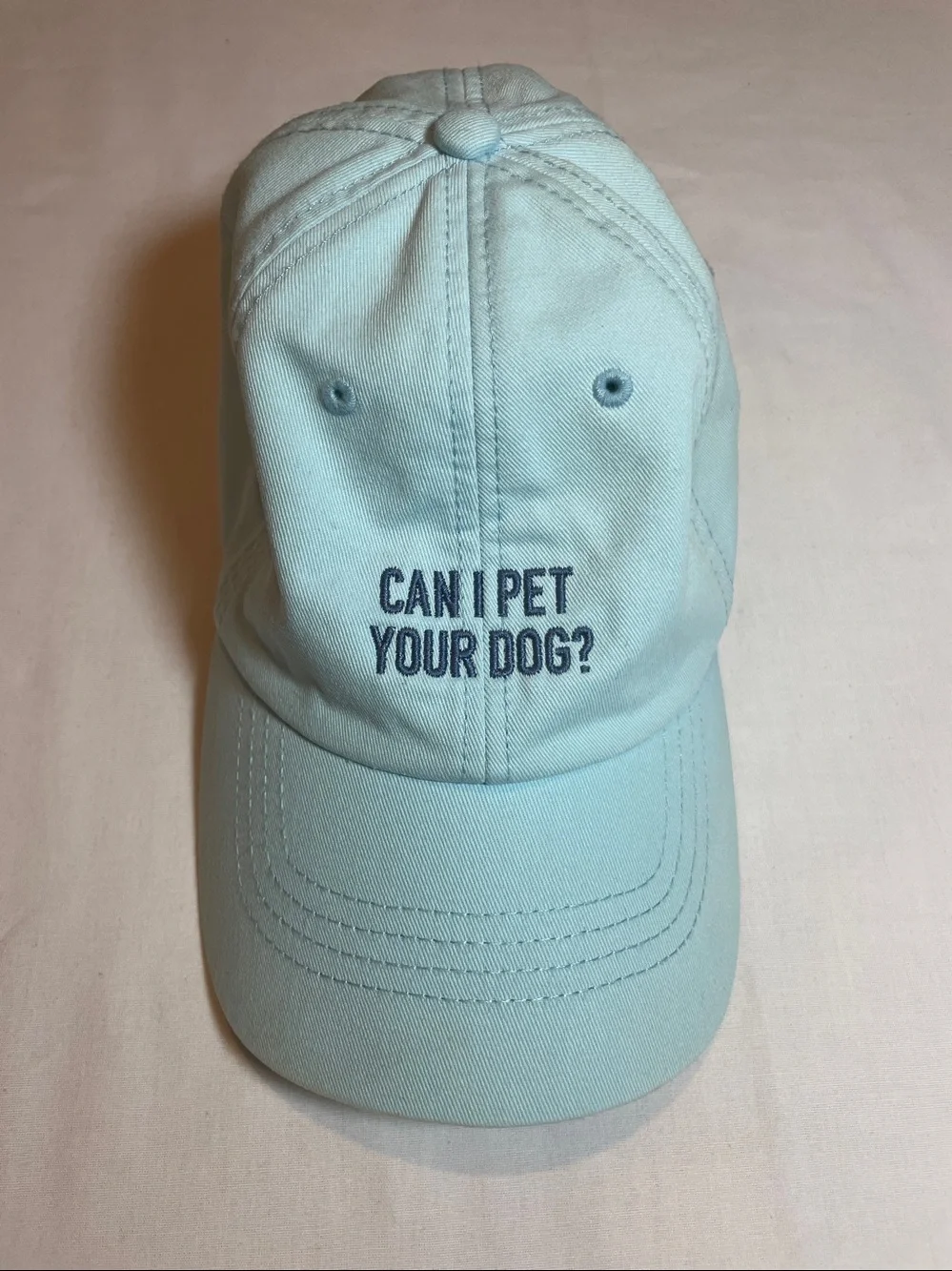 State of Mind Light Blue 'Can I Pet Your Dog?' Baseball Cap
